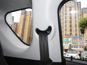 2022ۿ ΢ǰ Ԫ 30kW 301km g