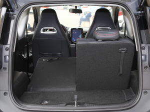 2022ۿ ΢ǰ Ԫ 30kW 301km g