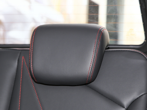 2022ۿ ǰ Ԫ 30kW 301km g