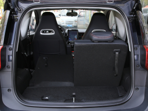 2022ۿ ǰ Ԫ 30kW 301km g