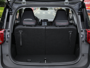 2022ۿ ΢ǰ F 30kW 301km  g