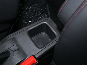 2022ۿ ΢ǰ F 30kW 301km  g