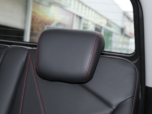 2022ۿ ΢ǰ F 30kW 301km  g