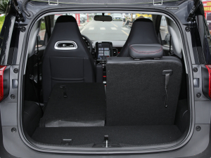 2022ۿ ΢ǰ F 30kW 301km  g