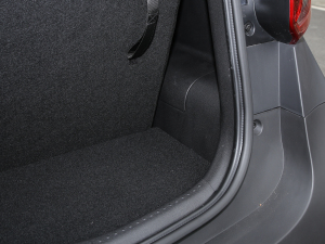 2022ۿ ΢ǰ F 30kW 301km  g