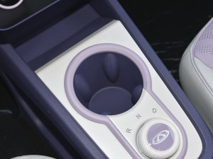 2022 _˾ 29.2kWh ǰű