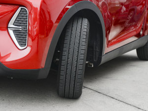 2022Ŀ ۿ ΢ǰ F 30kW 301km ^