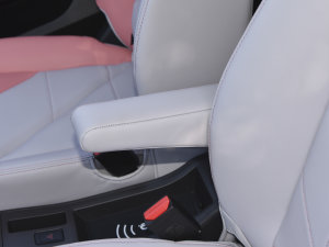 202230f(wn)ρۿ ǰ F 30kW 301km g