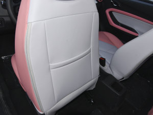 202230fρۿ ǰ F 30kW 301km g