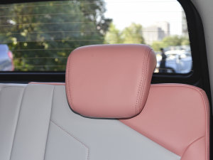 202230fρۿ ǰ F 30kW 301km g