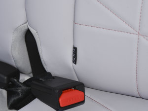 202230fρۿ ǰ F 30kW 301km g