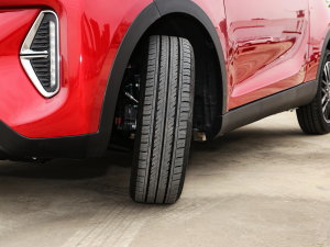 2022Ŀ ۿ ǰ F 30kW 301km (ji)^