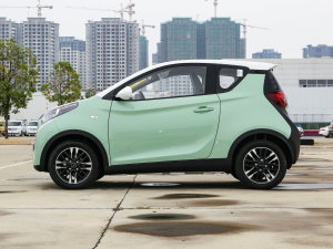 2022Ŀ ۿ ΢ǰ Ԫ 30kW 301km (c)