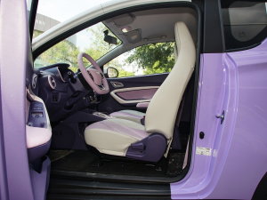 2022 _˾ 28.8kWh ǰſg