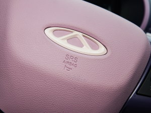 2022 _˾ 28.8kWh п؅^