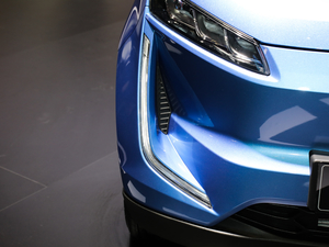 2019(bio)(zhn) (x)(ji)^