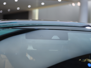 2019ʼl(f)pʘ (x)(ji)^