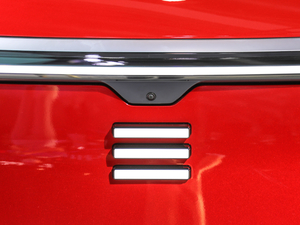 2021Pilot edition I 530km ^