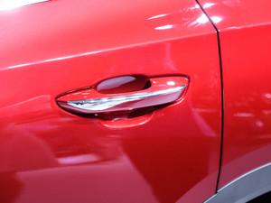 2021Pilot edition I 530km ^