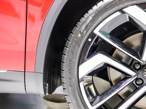 2021Pilot edition I 530km ^