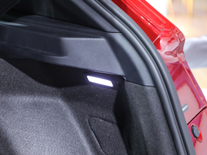 2021Pilot edition I 530km g