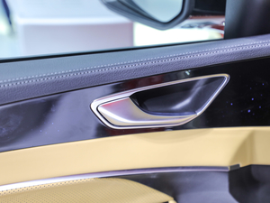 2021Pilot edition I 530km g