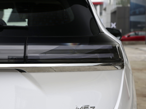 2021款Pilot edition 领航版 530km 尾灯