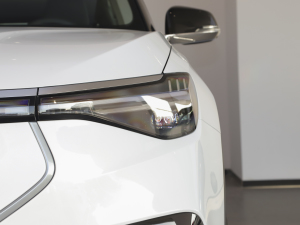 2021Pilot edition I 410km 