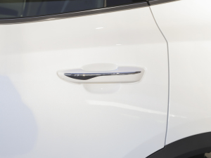 2021Pilot edition I(lng) 410km (x)(ji)^