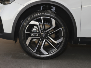 2021Pilot edition I(lng) 410km (x)(ji)^