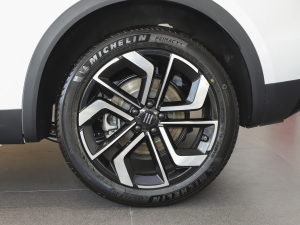 2021Pilot edition I 410km ݆Ȧ