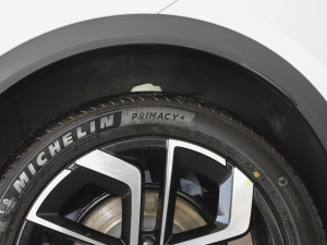 2021Pilot edition I 410km (ji)^