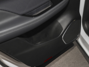 2021Pilot edition I 410km g