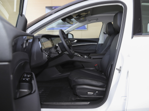 2021Pilot edition I 410km ǰſg