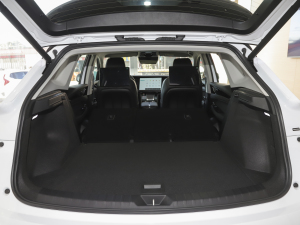 2021Pilot edition I 410km g