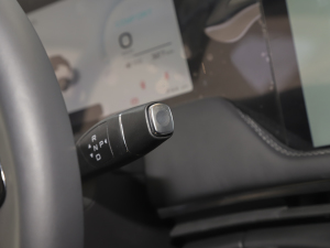 2021Pilot edition I 410km п؅^