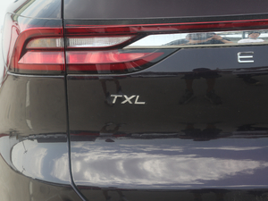 2020TXL 1.6T (q) (x)(ji)^
