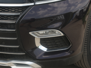 2020TXL 1.6T (q) (ji)^