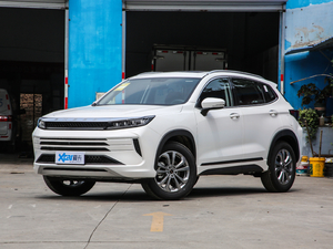 2020L˰ 1.5T CVTҫ ǰ45