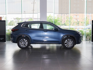 2020L(fng)˰ 1.5T CVT (c)