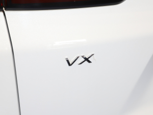 2021290T (q) (x)(ji)^