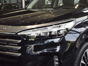 2021390T (q)L(zhng)m(x) 