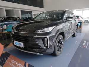 2021款290T 两驱星享版 左前45度
