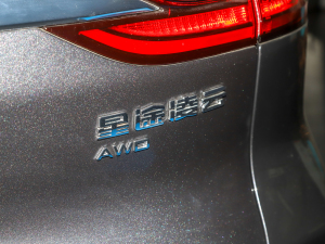 2021款400T 四驱星睿版 细节外观