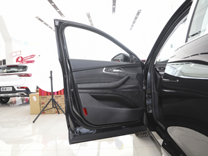 2020款TX 1.6T 两驱星尚版 驾驶位车门
