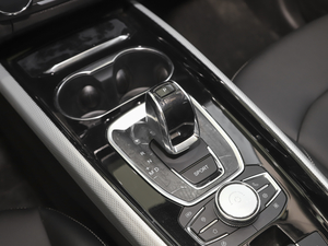 2020款TX 1.6T 两驱星尚版 换挡杆