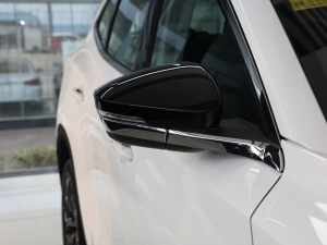 2021(jng) 1.6T (q) (ji)^