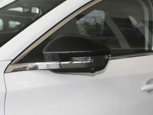 20211.6T (q)1̖ (ji)^