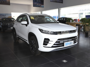 2022L˰ 1.5T CVTL ǰ45