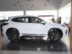 2022L˰ 1.5T CVTL ȣң